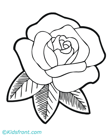 Flower Coloring Pages on Coloring Pages Printables Flowers         Shoaib   Bilal Flowers